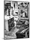 Photographic Print