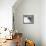 Design for a Book-Plate for Olive Custance-Aubrey Beardsley-Framed Premier Image Canvas displayed on a wall