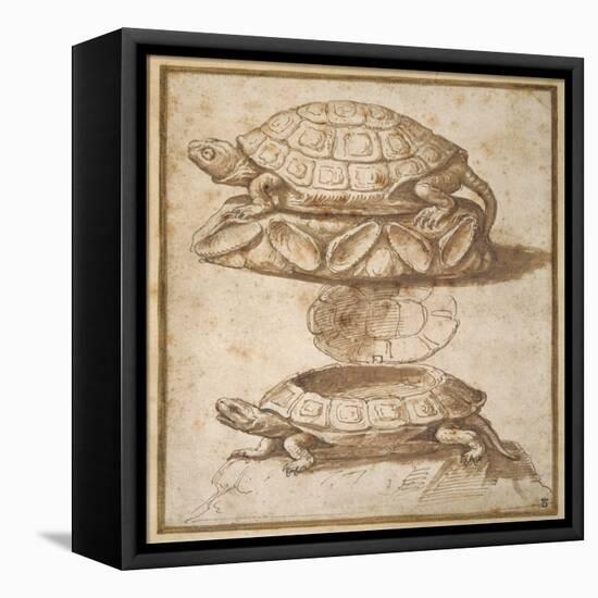 Design for a Lidded Box in the Shape of a Tortoise, Shown Open and Shut-Giulio Romano-Framed Premier Image Canvas