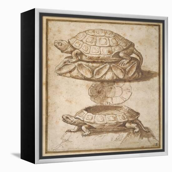 Design for a Lidded Box in the Shape of a Tortoise, Shown Open and Shut-Giulio Romano-Framed Premier Image Canvas