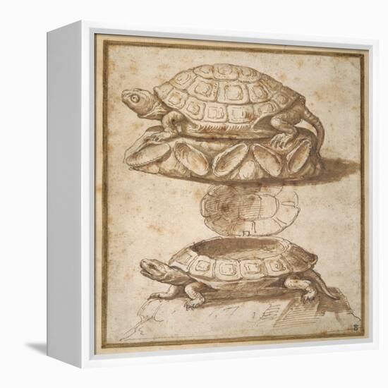 Design for a Lidded Box in the Shape of a Tortoise, Shown Open and Shut-Giulio Romano-Framed Premier Image Canvas