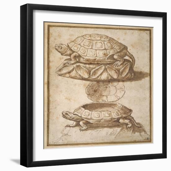 Design for a Lidded Box in the Shape of a Tortoise, Shown Open and Shut-Giulio Romano-Framed Giclee Print