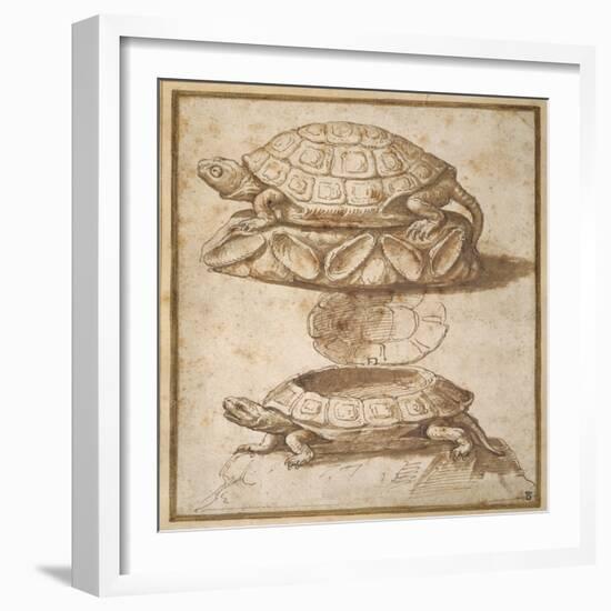 Design for a Lidded Box in the Shape of a Tortoise, Shown Open and Shut-Giulio Romano-Framed Giclee Print