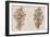 Design for Sprays of Flowers-Italian School-Framed Giclee Print