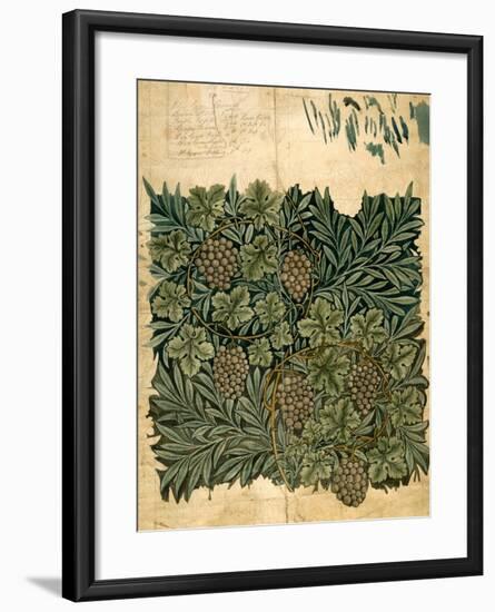 Design For Vine Wallpaper, c.1872-William Morris-Framed Giclee Print