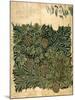 Design For Vine Wallpaper, c.1872-William Morris-Mounted Giclee Print