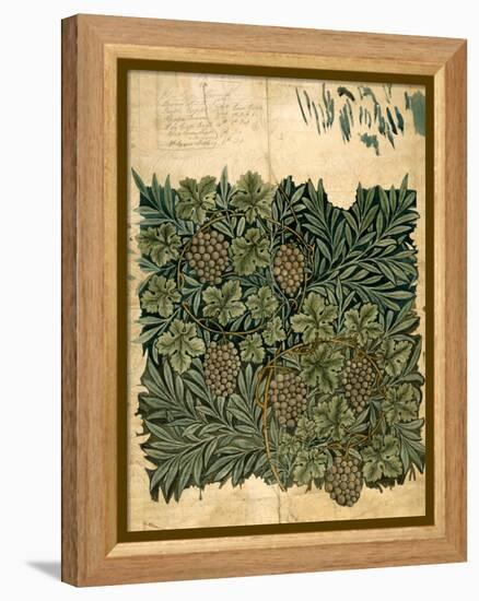 Design For Vine Wallpaper, c.1872-William Morris-Framed Premier Image Canvas