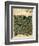 Design For Vine Wallpaper, c.1872-William Morris-Framed Giclee Print