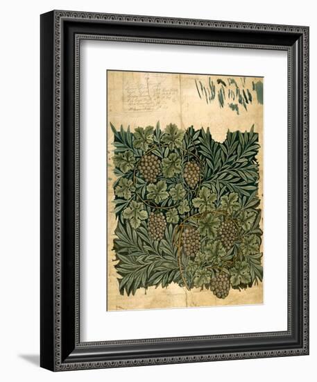 Design For Vine Wallpaper, c.1872-William Morris-Framed Giclee Print