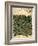 Design For Vine Wallpaper, c.1872-William Morris-Framed Giclee Print