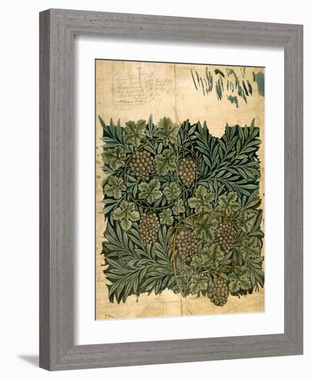 Design For Vine Wallpaper, c.1872-William Morris-Framed Giclee Print