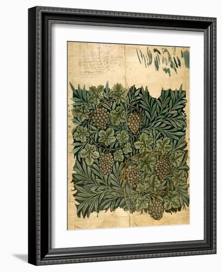 Design For Vine Wallpaper, c.1872-William Morris-Framed Giclee Print