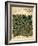 Design For Vine Wallpaper, c.1872-William Morris-Framed Giclee Print