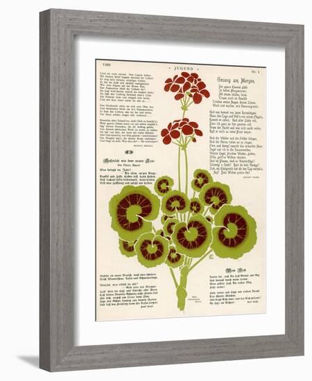 Design of Geraniums (Pelargoniums)-null-Framed Photographic Print