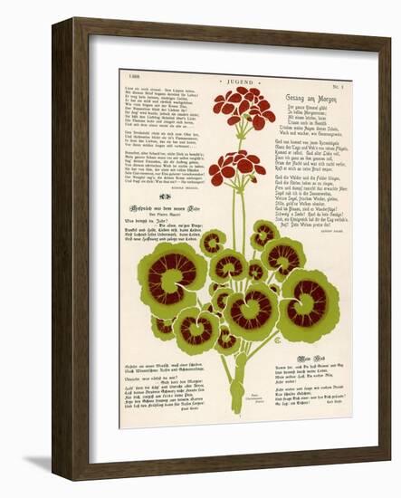 Design of Geraniums (Pelargoniums)-null-Framed Photographic Print