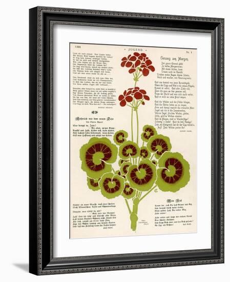 Design of Geraniums (Pelargoniums)-null-Framed Photographic Print