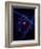 Design of the Atom Created in a Lab at Columbia University-Fritz Goro-Framed Photographic Print