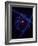 Design of the Atom Created in a Lab at Columbia University-Fritz Goro-Framed Photographic Print