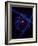 Design of the Atom Created in a Lab at Columbia University-Fritz Goro-Framed Photographic Print