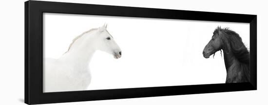 Design Of Website Header With Black And White Horses-i_love_nature-Framed Art Print