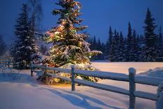 A log cabin is decorated with holiday lights and a green wreath on the door, Alaska-Design Pics-Photographic Print