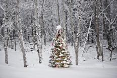 Christmas ornament hanging on snow-covered tree-Design Pics-Photographic Print