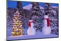 Premium Photographic Print
