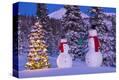 Stretched Canvas Print