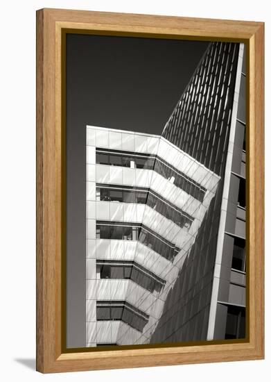 Design Reflections BW-Douglas Taylor-Framed Premier Image Canvas