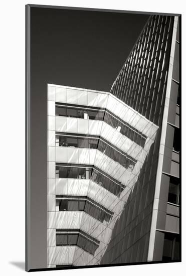 Design Reflections BW-Douglas Taylor-Mounted Photographic Print