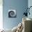 Design Spiral Staircase Made Of Concrete-FreshPaint-Premium Giclee Print displayed on a wall