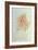 Design-Leonardo da Vinci-Framed Giclee Print