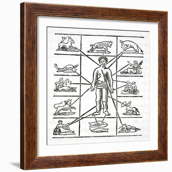 Designation of Parts That Each Sign Governs-null-Framed Giclee Print