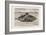 Designed by Claude Goubet in 1885: The First Electrically Powered Submarine-Poyet-Framed Art Print