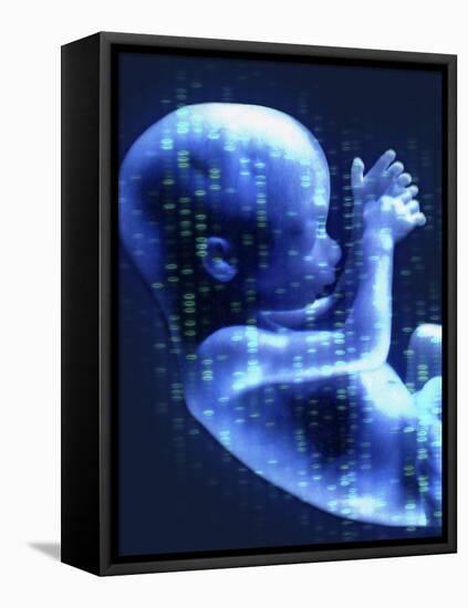 Designer Baby, Conceptual Artwork-Hannah Gal-Framed Premier Image Canvas