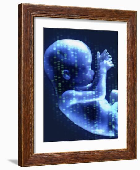 Designer Baby, Conceptual Artwork-Hannah Gal-Framed Photographic Print