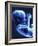 Designer Baby, Conceptual Artwork-Hannah Gal-Framed Photographic Print