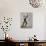 Designs On the Dances Of Vaslav Nijinsky-Georges Barbier-Giclee Print displayed on a wall