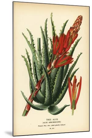 mask me aloe vera per floket Aloe Hydrating Mask (Box of 5)