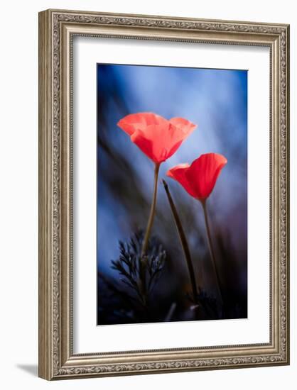 Desire-null-Framed Art Print