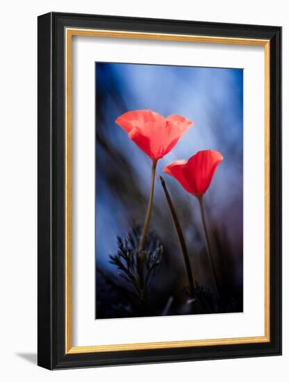 Desire-null-Framed Art Print