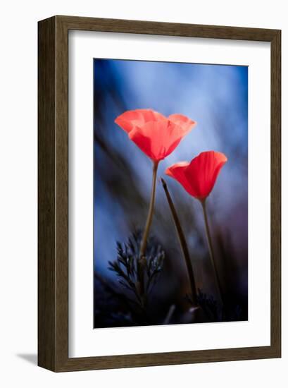 Desire-null-Framed Art Print