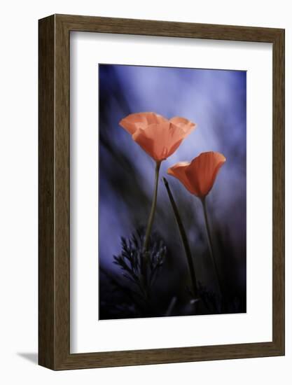 Desire-Fabien BRAVIN-Framed Photographic Print