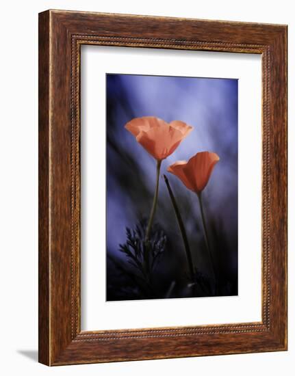 Desire-Fabien BRAVIN-Framed Photographic Print