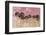 Desired Destinations 2-Marcus Prime-Framed Photographic Print