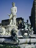 Fountain of Neptune Dating from 1576, in the Piazza Della Signora, Florence, Tuscany, Italy-Desmond Harney-Photographic Print