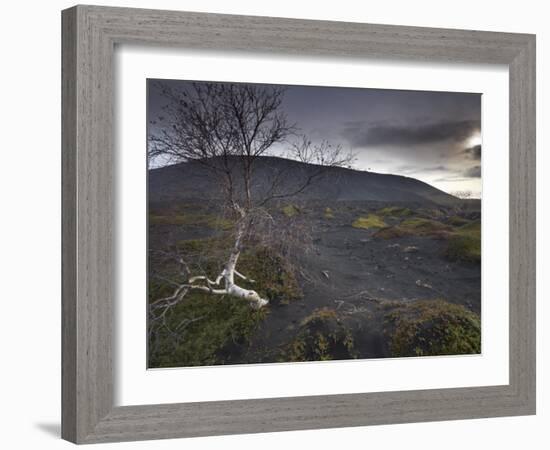 Desolate Black Ash Landscape at the Foot of Hverfjall Volcano, Myvatn, Northern Iceland-Patrick Dieudonne-Framed Photographic Print