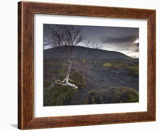 Desolate Black Ash Landscape at the Foot of Hverfjall Volcano, Myvatn, Northern Iceland-Patrick Dieudonne-Framed Photographic Print