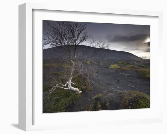 Desolate Black Ash Landscape at the Foot of Hverfjall Volcano, Myvatn, Northern Iceland-Patrick Dieudonne-Framed Photographic Print