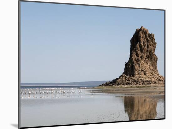 Desolate Landscape of Lac Abbe, Dotted with Limestone Chimneys, Djibouti, Africa-Mcconnell Andrew-Mounted Photographic Print